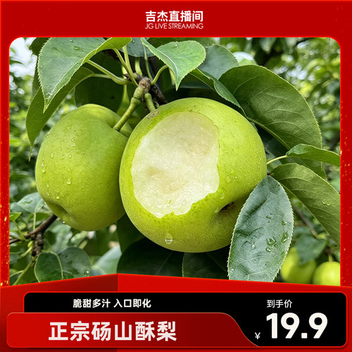 正宗安徽砀山酥脆梨青皮梨皮薄脆甜多汁新鲜水果应季4.5斤装