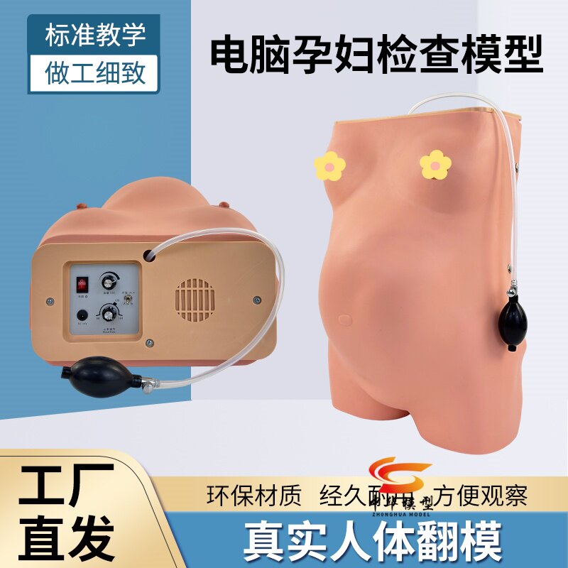 蓝蝶模型电脑孕妇检查教具