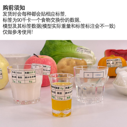 蓝蝶模型膳食宝塔仿真食品教学