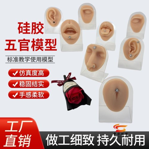 蓝蝶模型人体硅胶五官练习模具