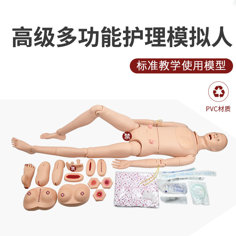 人体模型护理人中华教学