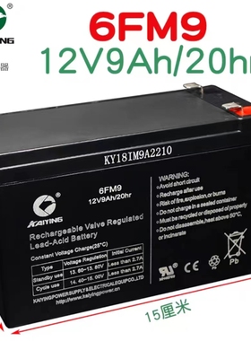 户外移动音响电池12V8AH9AH17AH广场舞拉杆音箱通用6FM9铅酸电池