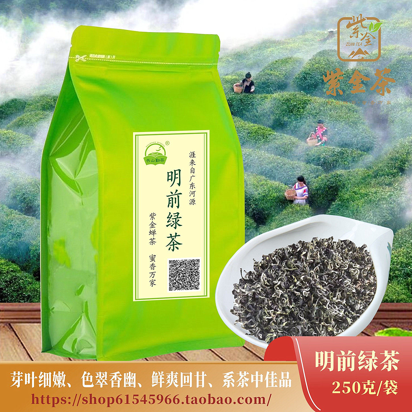 明前绿茶250g袋装河源高山云雾茶紫金蝉茶龙窝客家好春茶广东茶叶