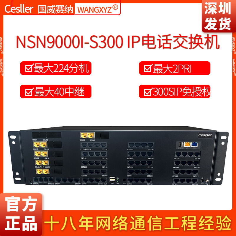 国威赛纳电话交换机NSN9000iS300
