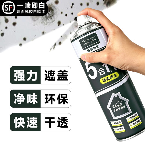 盛夏光年乳胶漆墙面自喷速干漆