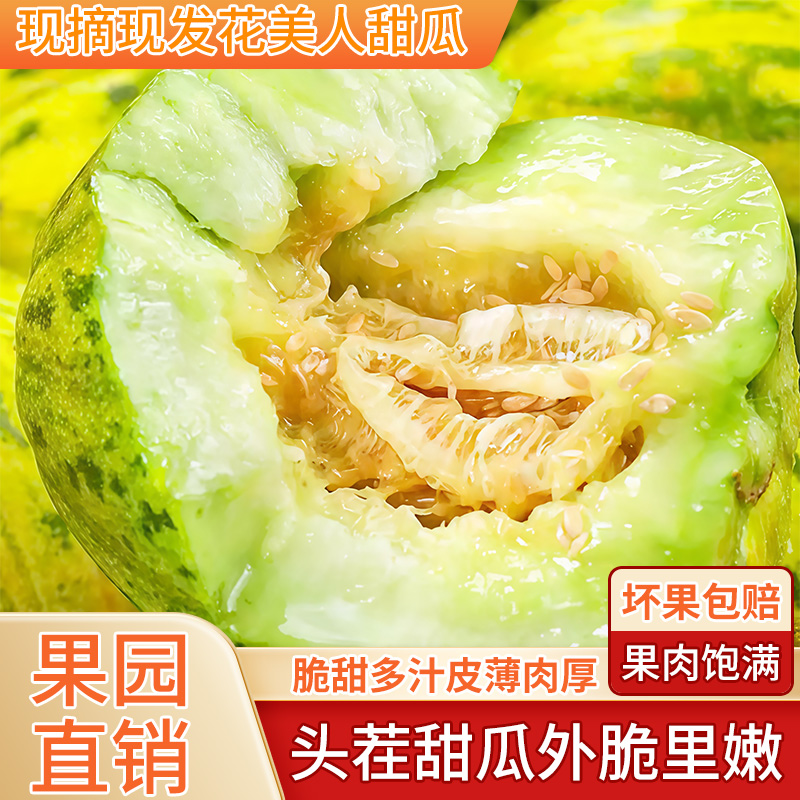 当天新鲜现摘东北香瓜吉林农家香脆甜坏瓜包赔大地八里香陆地甜瓜