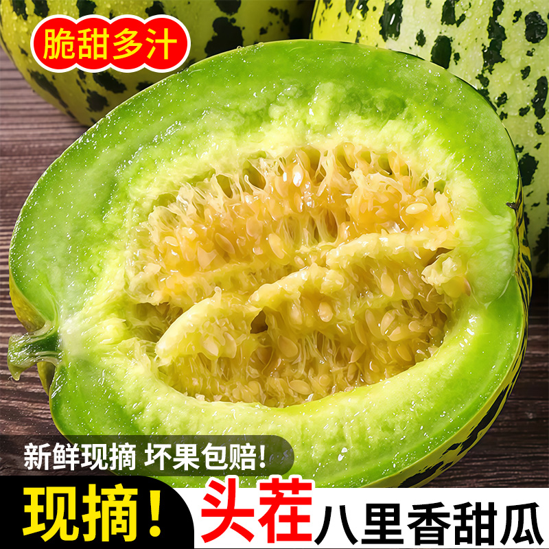东北香瓜当天新鲜现摘吉林农家香脆甜坏瓜包赔大地八里香陆地甜瓜