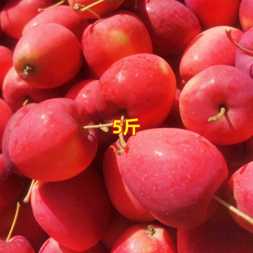东北鸡心果沙果脆甜糖心海棠果
