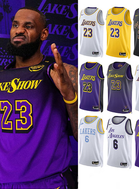 正品NIKE耐克湖人23勒布朗詹姆斯里弗斯篮球球衣sw球迷版运动背心