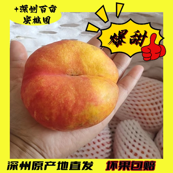 7月份发货【深州特产】黄金蟠桃原产地直发现摘现发油蟠蟠九包邮
