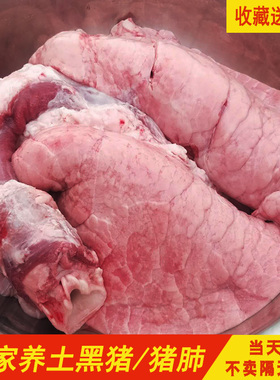 大别山正宗农家散养新鲜黑土猪猪肺纯猪肺猪内脏1付现杀多省包邮
