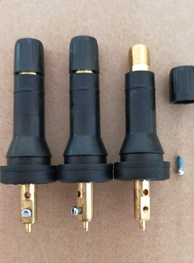 适用启辰D60 T60 T70 T90 M50VM60V 金杯海狮胎压监测气门嘴气嘴