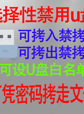 禁用USB软件U盘复制移动硬盘加密管理工具电脑文件防拷贝泄密软件