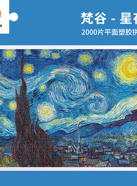 3D-JP梵高系列平面塑料拼图500-2000片 世界名画客厅挂画油画星夜