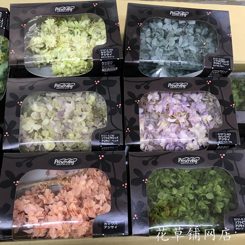 日本大地农园永生绣球