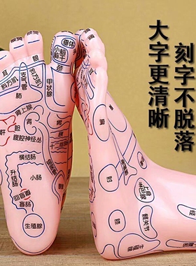 足底双脚人体穴位模型图足疗刻字