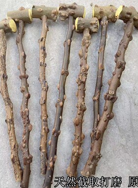 花椒树木锤捶背按摩木锤