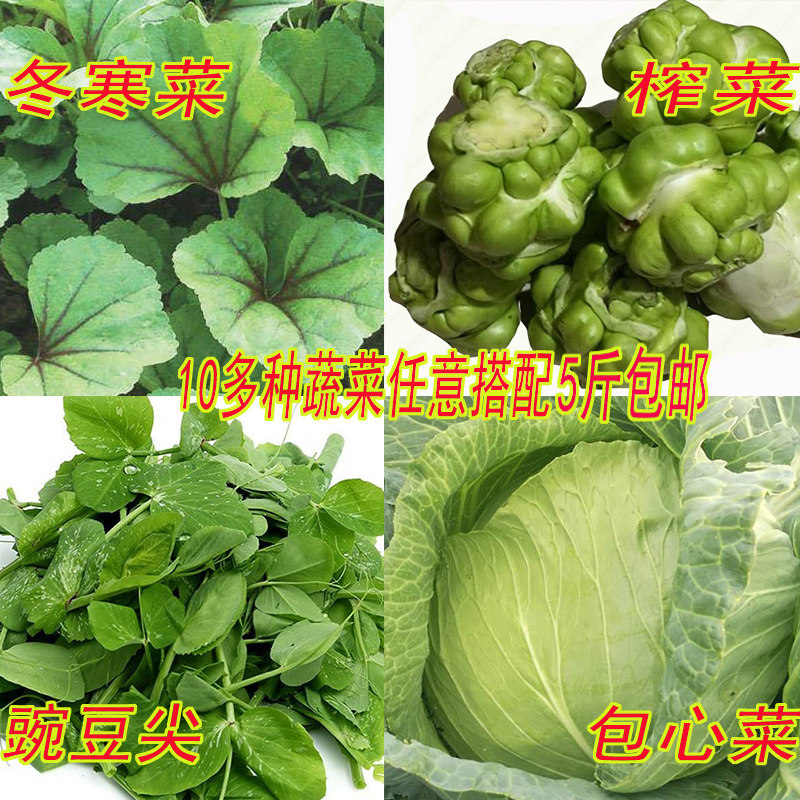 蔬菜组合新鲜包邮自选当季整箱农家蔬菜白萝卜榨菜花菜,水产肉类/新鲜蔬果/熟食,叶菜类,淘宝优惠券,粉丝福利购,淘宝优惠卷