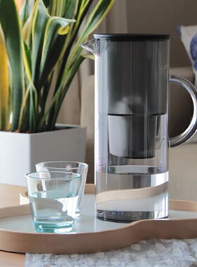 丹麦进口Stelton EM啄木鸟家用净水壶滤水壶冷水壶2L