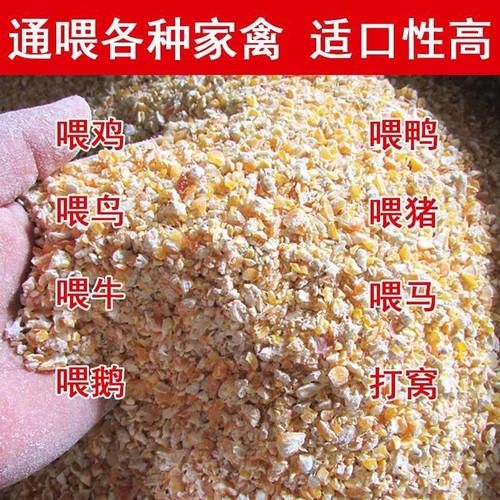 玉米碎饲料喂鸡鸭鹅苞米面玉米粉下蛋鸡饲料鸡粮食鸡食产蛋鸡专用