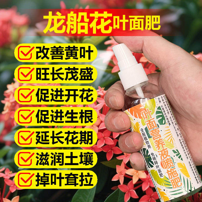小叶龙船花专用肥料养殖盆栽仙丹花水绣球专用土营养液叶面肥肥料