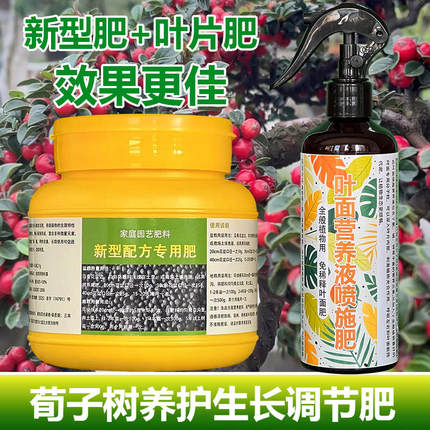 荀子专用肥料养殖小苗盆景红果荀子树专用土壤养护营养液叶面肥料