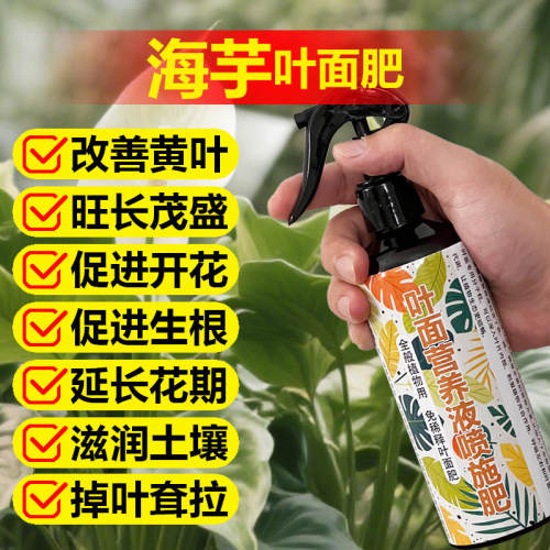 海芋肥料专用肥营养液绿天鹅绒白犀牛大仙女萨利安龙鳞叶面肥肥料