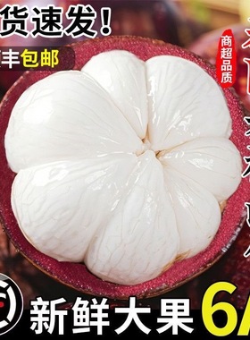 泰国山竹新鲜大果孕妇水果当季现摘油三竹麻竹顺丰包邮