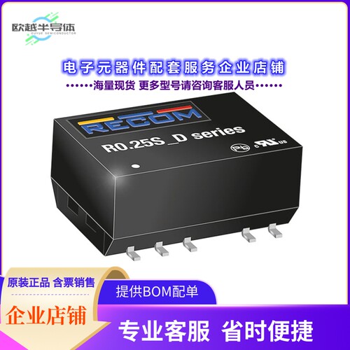 R0.25S12-1509/P-R[电源模块DC DC CONVERTER 9V 250MW]
