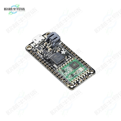 3076[开发板ADAFRUIT FEATHER 32U4 RFM69HCW P】