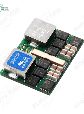 BRFS100[电源模块DC DC CONVERTER 0.7-2V]