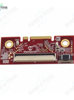 AC320212[开发板565 LCD GFX CARD】