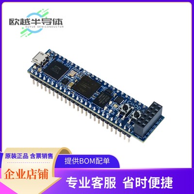 FPGA、CPLD评估板 410-328-35【BOARD CMOD A7-35T FPGA 48DIP】