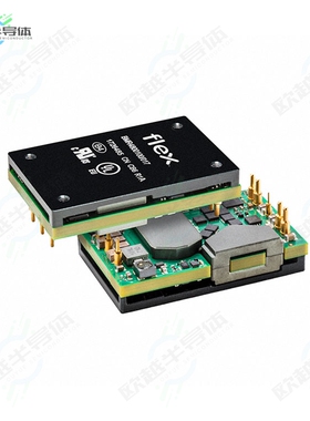 BMR4800106/005[电源模块DC DC CONVERTER 12V 1300W]