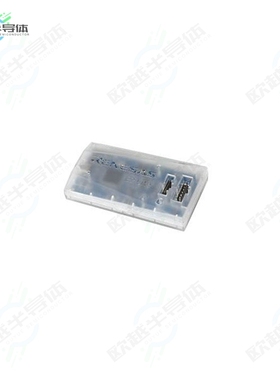 RTE0T0002LKCE00000R[开发板E2 LITE DEBUGGER】