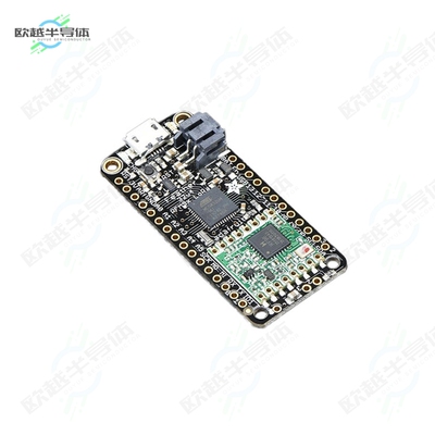 3079[开发板ADAFRUIT FEATHER 32U4 RFM96W LOR】