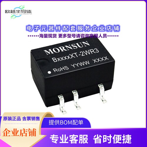 B0509XT-2WR3[电源模块DC DC CONVERTER 9V 2W]
