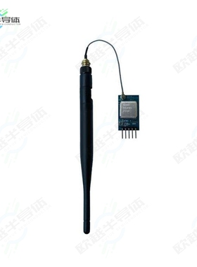 RYLR993_LITE[开发板UART INTERFACE 868/915SMHZ LORAW】