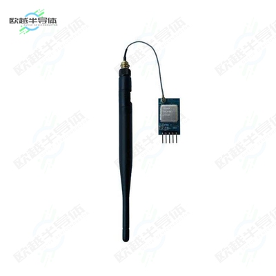 RYLR993_LITE[开发板UART INTERFACE 868/915SMHZ LORAW】