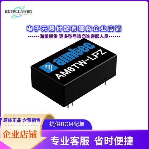 AM6TW-2424DH30LPZ[电源模块DC DC CONVERTER 24/24V 6W]