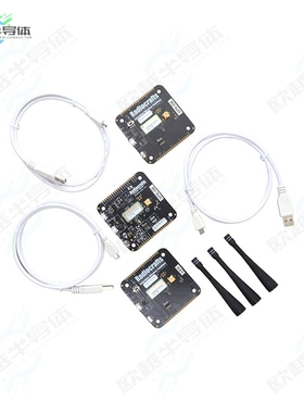 RC1880-RIIOT-DK[开发板DEVELOPMENT KIT FOR RIIOT MODULE】