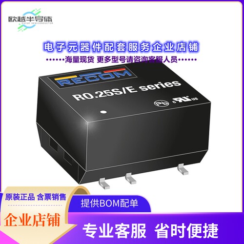 R0.25S8-0505/E-R[电源模块DC DC CONVERTER 5V 250MW]