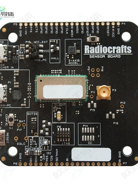 RC1880CEF-SPR-SB[开发板RIIOT SENSOR BOARD】