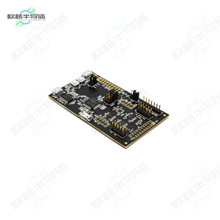 DK-42653[开发板DEV KIT FOR IIM-42653】