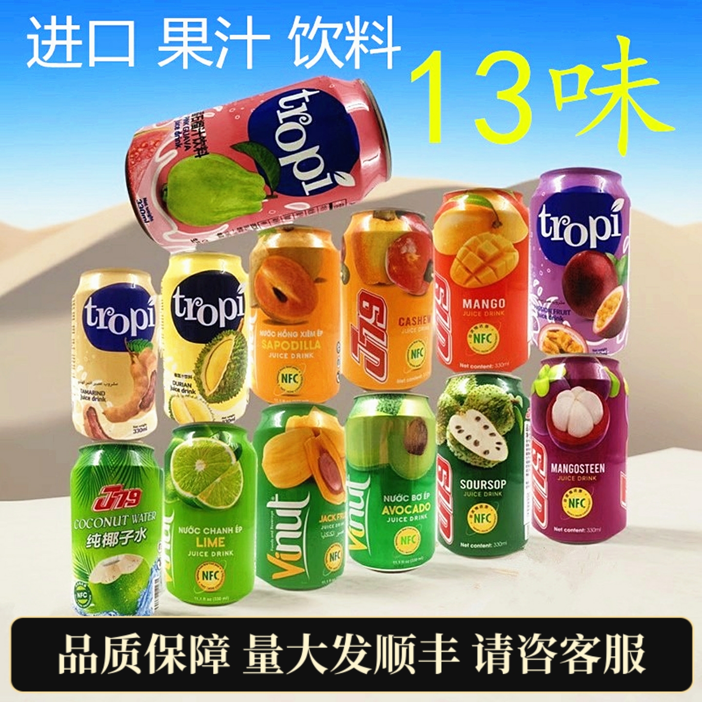 越南进口多种口味果汁饮料十罐装