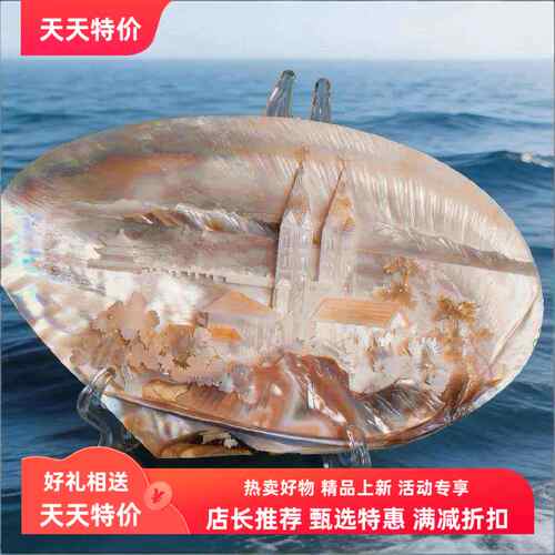 青岛礼品景点大贝壳摆件旅游包邮