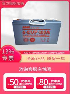 蓄电池12V100A四轮电动车洗地机观光车60V免维护铅酸动力电瓶