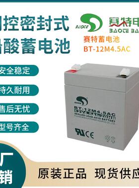 BT-12M4.5AC 12V4.5AH后备电源 数据基站 直流通信