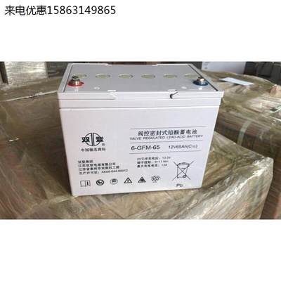 双登蓄电池12V65Ah双登6G