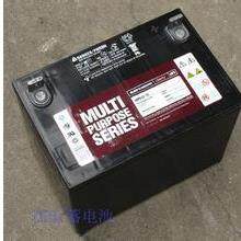 大力神蓄电池MPS12-65N(12V65aH)LIBERTY格